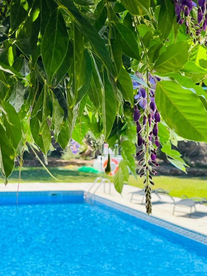 فندق سولار دي ألفيجا Alvega المظهر الخارجي الصورة